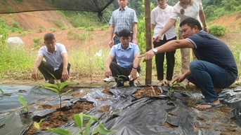 Kiểm tra tiến độ thực hiện Đề tài “Nghiên cứu xây dựng vườn bảo tồn nguồn gen cây thuốc bản địa quý, hiếm của Cao Bằng tại khu Nông nghiệp ứng dụng công nghệ cao xã Lê Chung, huyện Hòa An, tỉnh Cao Bằng”