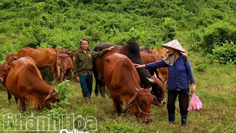 ឆន្ទៈដើម្បីជម្នះការលំបាក និងភាពស្មោះត្រង់របស់អតីតយុទ្ធជន