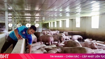 Xã miền núi Hà Tĩnh có 30 mô hình kinh tế thu nhập trên 350 triệu đồng