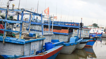 Kêu gọi tàu thuyền vào nơi neo đậu trước 15 giờ hôm nay, 21-10