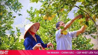“អានុភាព” ជួយកសិករនៅ Vu Quang អភិវឌ្ឍសេដ្ឋកិច្ចប្រកបដោយនិរន្តរភាព