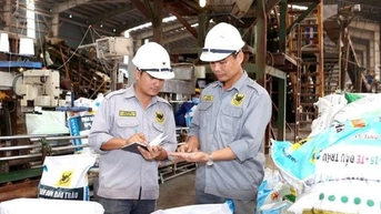 Phân bón Bình Điền (BFC) vượt 47% mục tiêu lợi nhuận năm 2025 trong 9 tháng