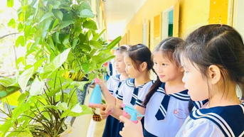 Triển khai Bộ tiêu chí trường học sinh thái ASEAN tại Huế