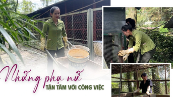 ស្ត្រីឧទ្ទិសដល់ការងាររបស់ពួកគេ។