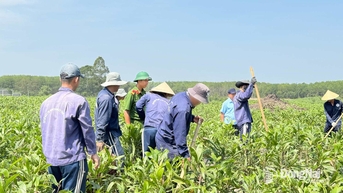 ការបង្កើនប្រសិទ្ធភាពនៃការទប់ស្កាត់ ការគ្រប់គ្រង និងការប្រយុទ្ធប្រឆាំងគ្រឿងញៀនក្នុងស្ថានភាពថ្មី។