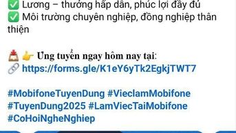 채용 사기에 대한 경고