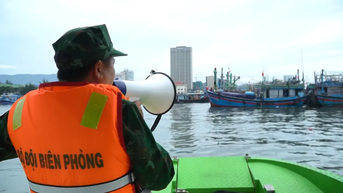 Gia Lai, Quảng Ngãi chủ động ứng phó bão số 12: Hướng dẫn tàu thuyền trú bão an toàn