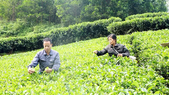 Tạo nguồn vốn, giúp người dân thoát nghèo