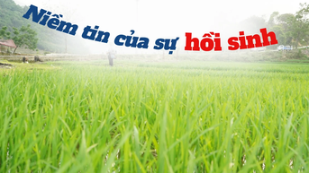 Niềm tin của sự hồi sinh