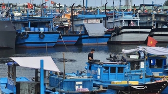 Đà Nẵng kêu gọi người dân trữ lương thực, nhu yếu phẩm ít nhất 3 ngày phòng lũ lớn