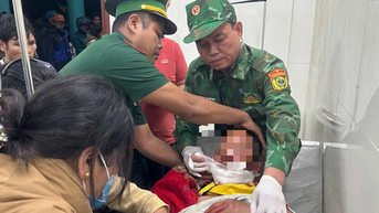 Người đàn ông ở Đà Nẵng bị gấu tấn công trên đường đi làm rẫy về