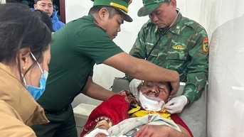 Một trưởng thôn ở Đà Nẵng bị gấu tấn công khi từ rẫy về nhà