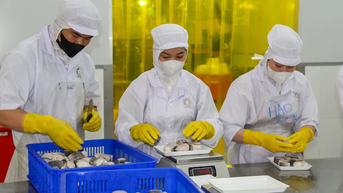 Tăng cường quản lý chất lượng, phát triển thị trường cho sản phẩm nông, lâm, thủy sản