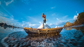 Nâng tầm hạt muối quê hương