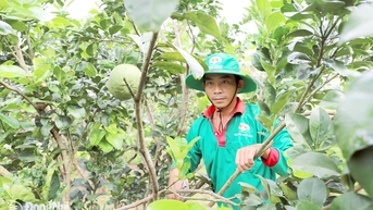Đồng hành với nông dân phát triển nông nghiệp hữu cơ