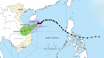 Bão số 12 di chuyển vào bờ, gây mưa rất to từ Hà Tĩnh đến Quảng Ngãi