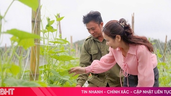Vụ đông 2025, Hà Tĩnh chú trọng phát triển cây trồng hàng hóa