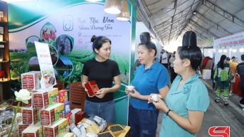Ứng dụng công nghệ và chế biến sâu sản phẩm chè