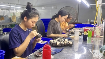 ការលុបបំបាត់ការស្ទះដើមទុនសម្រាប់សហគ្រាសធុនតូច និងមធ្យម