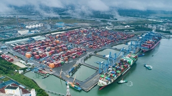 TP. Hồ Chí Minh: Vận tải biển lập kỷ lục với hơn 173.000 tàu cập cảng