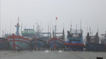 ទីក្រុង Da Nang អនុញ្ញាត​ឱ្យ​សិស្សានុសិស្ស​ទូទាំង​ទីក្រុង​នៅផ្ទះ​ពី​សាលា ដើម្បី​ទប់ទល់​នឹង​ព្យុះ​លេខ ១២