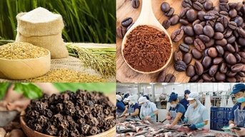 Giá nông sản hôm nay 22/10/2025: Giá lúa gạo xuất khẩu giảm nhẹ