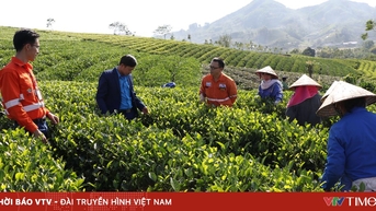 វៀត​ណាម​-​សហភាព​អឺរ៉ុប៖ ចំណូល​ពាណិជ្ជកម្ម​បាន​បំបែក​ដោយ​សារ​អានុភាព​បៃតង និង​ការ​ប្រែក្លាយ​ឌីជីថល