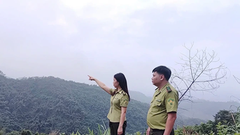 ថែរក្សា "សួតបៃតង"