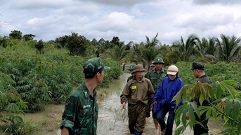 Đắk Lắk triển khai phương án ứng phó bão số 12 và mưa lũ