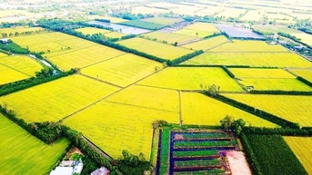 “គន្លឹះ” នៃកសិកម្មដែលបញ្ចេញឧស្ម័នតិច