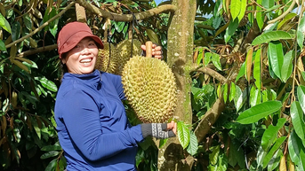Cần cù, ham học hỏi, người phụ nữ Jrai thành điển hình nông dân sản xuất giỏi