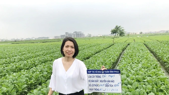 វិស្វករស្រី Kieu Thi Hue មានចិត្តចង់ផលិតបន្លែស្អាត។