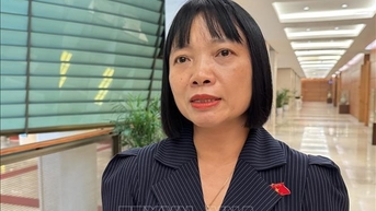 'Làm sạch, làm giàu' dữ liệu đất đai phải đúng tinh thần chuyển đổi số