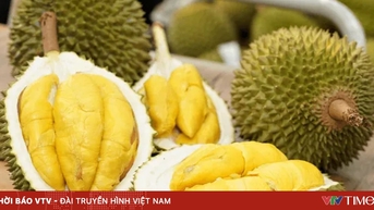 កសិកម្ម រុក្ខាប្រមាញ់ និងនេសាទ រំពឹងថានឹងលើសពីគោលដៅនាំចេញ