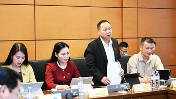 Đại biểu Quốc hội tỉnh góp ý dự án Luật trình Quốc hội