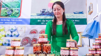 ស្ត្រី Ca Mau រួមដៃគ្នាកាត់បន្ថយភាពក្រីក្រប្រកបដោយនិរន្តរភាព