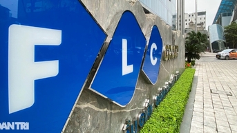 2 thành viên Hội đồng quản trị FLC từ chức