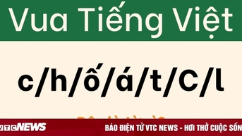 Người 'sành ngữ' cũng phải đầu hàng với câu đố này