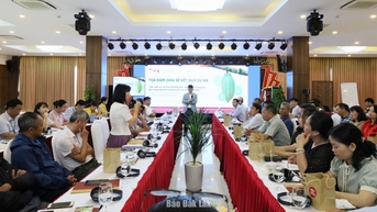 Hỗ trợ nông dân trồng ca cao phát triển nông nghiệp tái sinh
