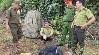 산림동물, 야생동물 및 철새의 관리 및 보호 강화