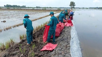 Dân quân xã Bình Thành giúp người dân bảo vệ mùa màng
