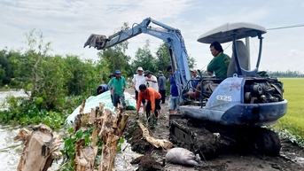 ឃុំ Co To និង Ba Chuc ប្រមូលផ្តុំកម្លាំងដើម្បីពង្រឹងទំនប់នៅចំណុចសំខាន់ៗ។