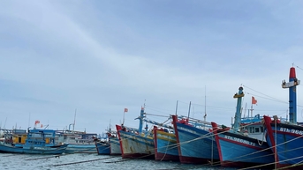 Phu Quy ឆ្លើយតបយ៉ាងសកម្ម និងធានាសុវត្ថិភាពប្រឆាំងនឹងឥទ្ធិពលនៃព្យុះលេខ ១២