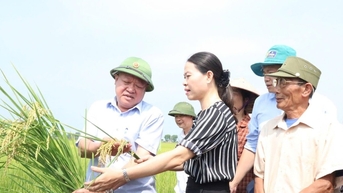 ឧស្សាហកម្មកសិកម្មបង្កើនល្បឿនកាត់បន្ថយការបំភាយឧស្ម័ន