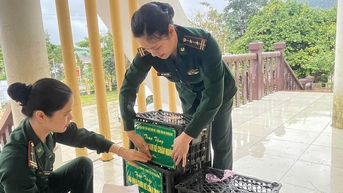 នាំស្នេហាដល់ព្រំដែន
