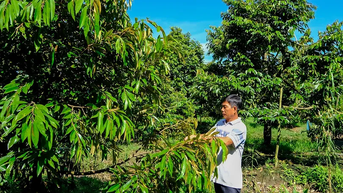 ប្រមូលផ្តុំកម្លាំងរួមគ្នា ដើម្បីកែលម្អគុណភាពនៃគំរូជនបទថ្មី។