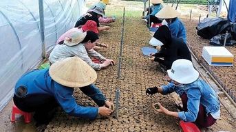 ជំរុញការអភិវឌ្ឍន៍សេដ្ឋកិច្ចបៃតង