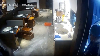 Bể cá khổng lồ vỡ tung, nhà hàng ngập nước và đàn cá sống bơi khắp sàn