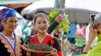ស៊េរីនៃស្នាដៃទទួលបានរង្វាន់ខ្ពស់នៅក្នុងបច្ចេកវិទ្យាទី 2 ពីពានរង្វាន់បេះដូង