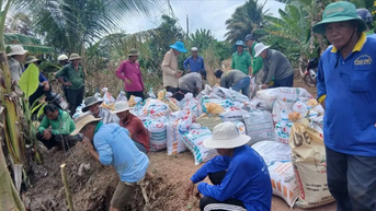 ជំនន់​ទឹក​ជំនន់​នៅ​តំបន់ Dong Thap Muoi ជីវិត​មនុស្ស​ត្រូវ​រំខាន